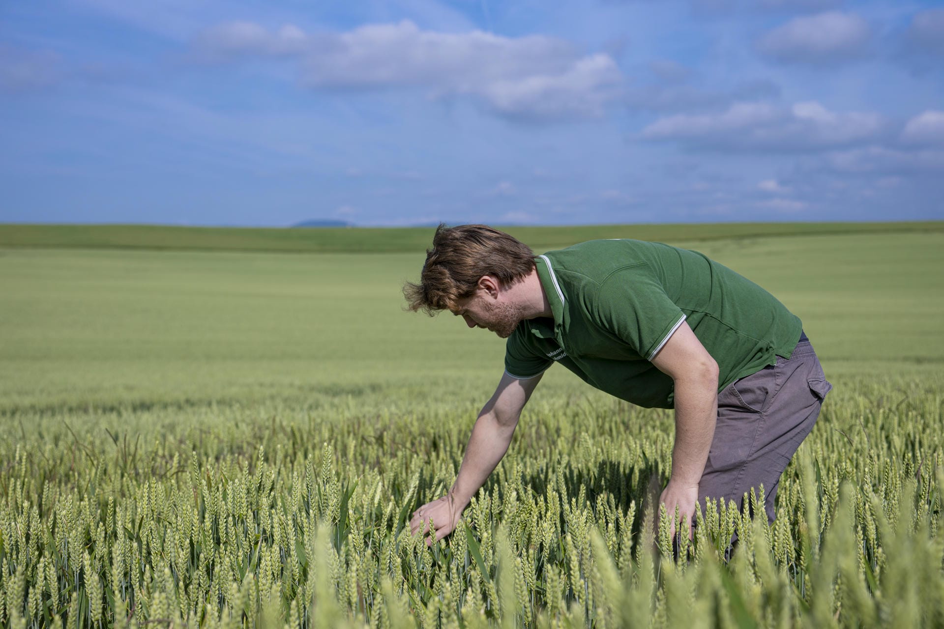 Johannes_Schmidgen_prueft_Wachstum_auf_Feld